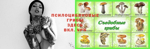 МДПВ Гусев