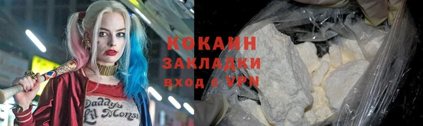 соль ск Дмитровск