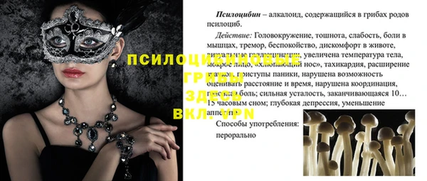 гашиш Дмитров