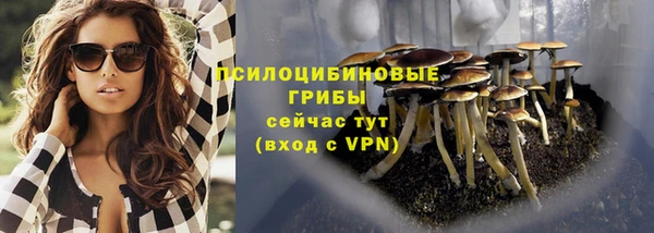 стафф Дмитриев